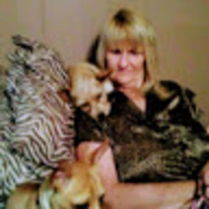 Meet your Posher, Kenneth